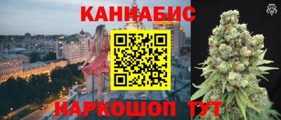 прущие грибы Новодвинск