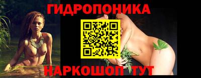 прущие грибы Новодвинск